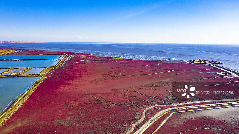 红海滩国家风景廊道 风光航拍摄影图片素材