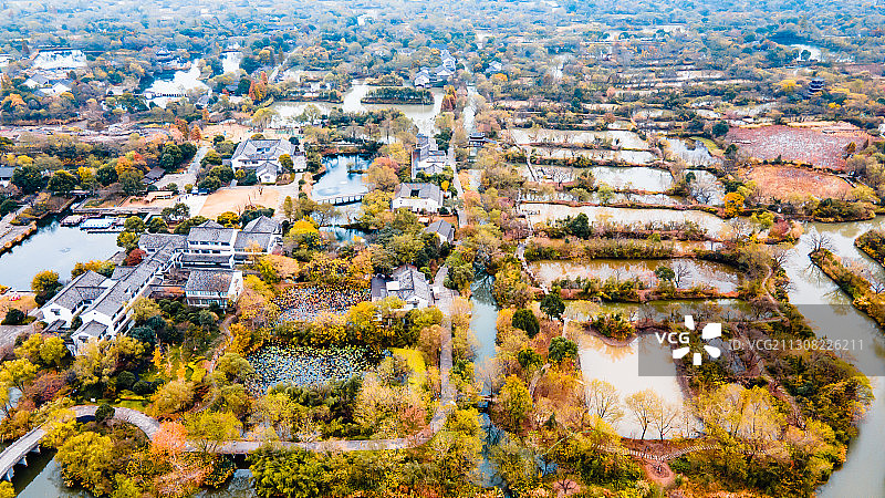 秋天的杭州西溪湿地公园图片素材