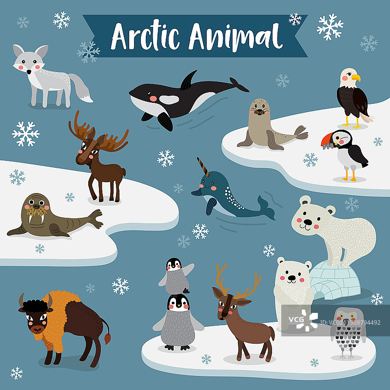 北极的动物卡通图片素材