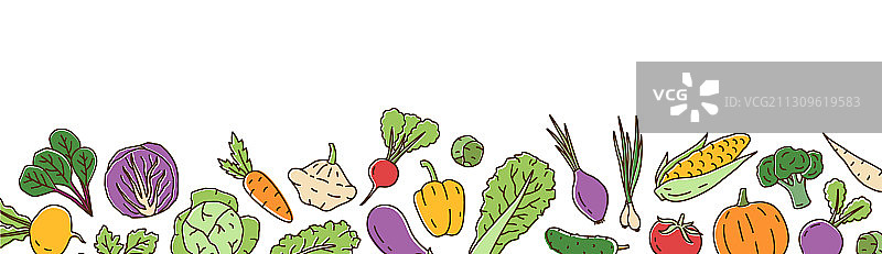 色彩鲜艳的新鲜有机蔬菜水平图片素材