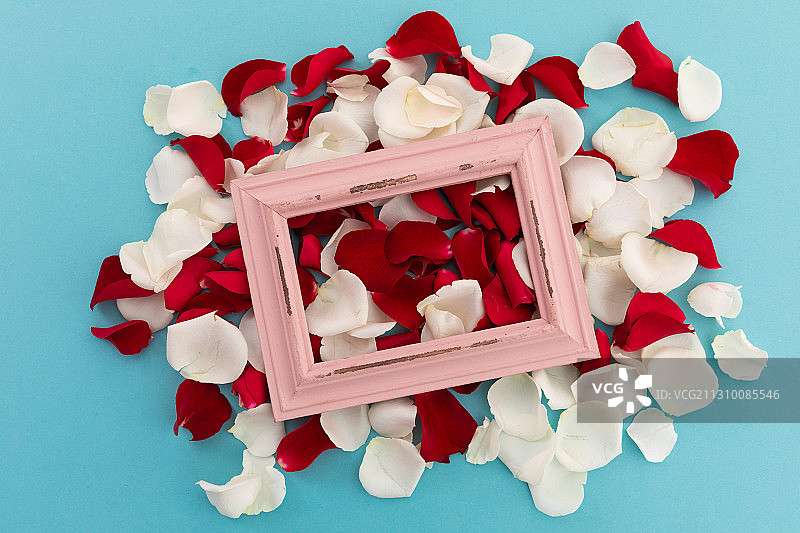 白色和红色的玫瑰花瓣与粉红色的乡村框架在蓝色的背景图片素材