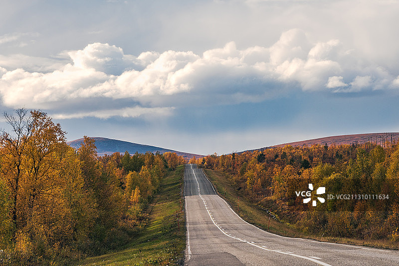 芬兰拉皮马肯，秋天，树木中空无一人的道路图片素材