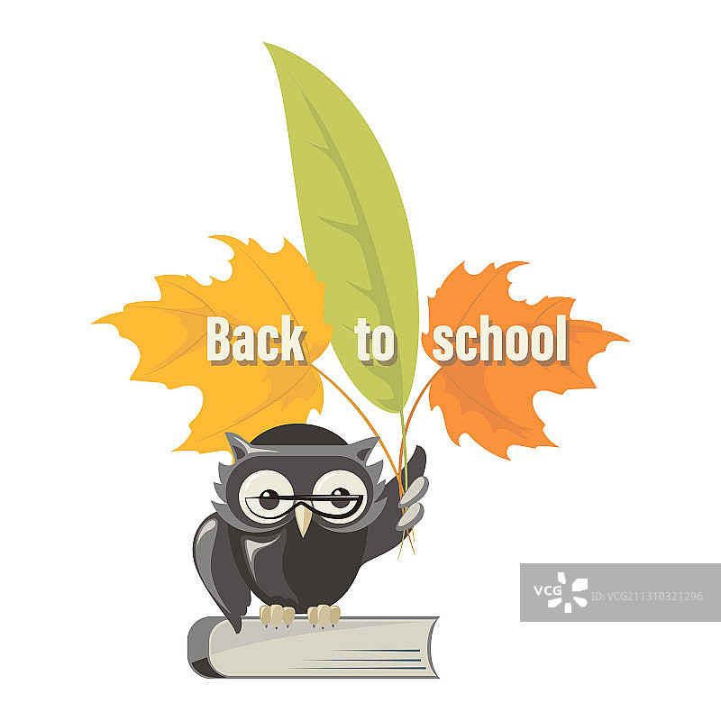 猫头鹰回到学校秋叶和书图片素材