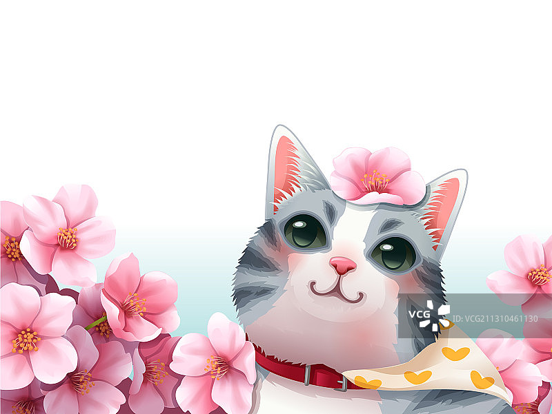 猫樱花图片素材