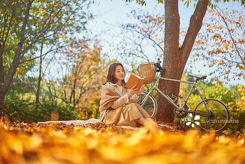 秋天，情感，十一月，野餐，快乐，枫叶，落叶，假期图片素材