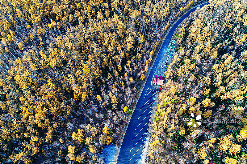 航拍大兴安岭深秋的林海公路图片素材