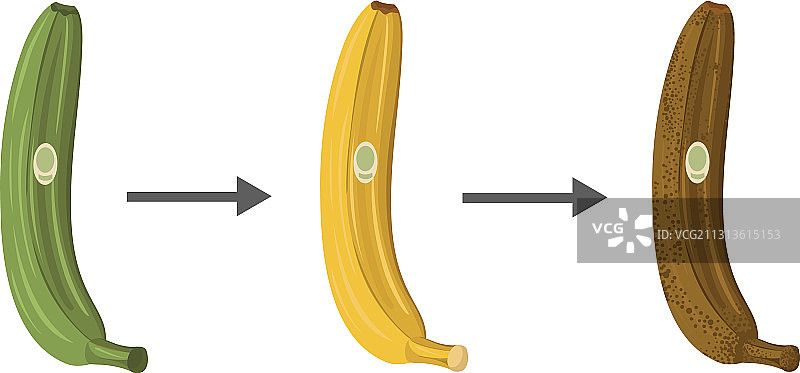 香蕉图片素材