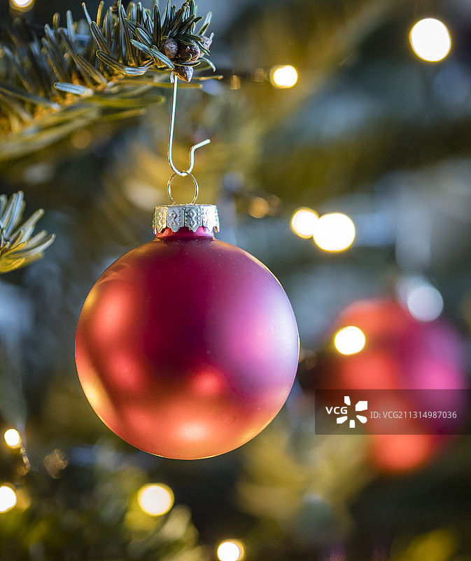 亮红色的圣诞装饰物挂在圣诞树上图片素材