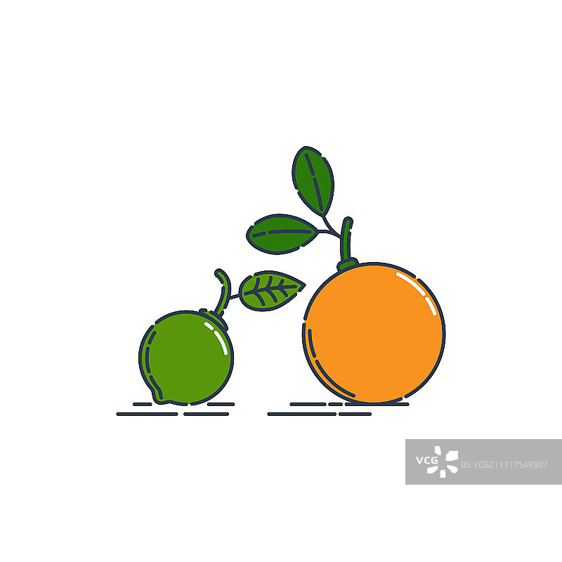 整个橙子和酸橙果实孤立在白色上图片素材
