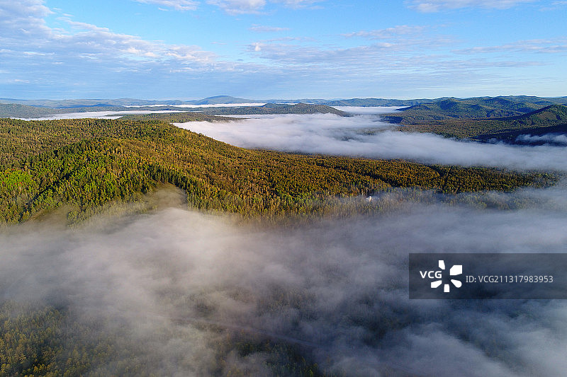 航拍大兴安岭秋季原始森林云海图片素材