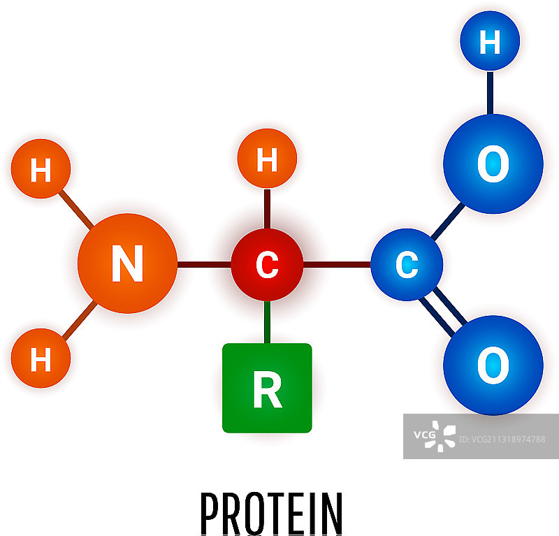 蛋白质化学式分子上白色图片素材