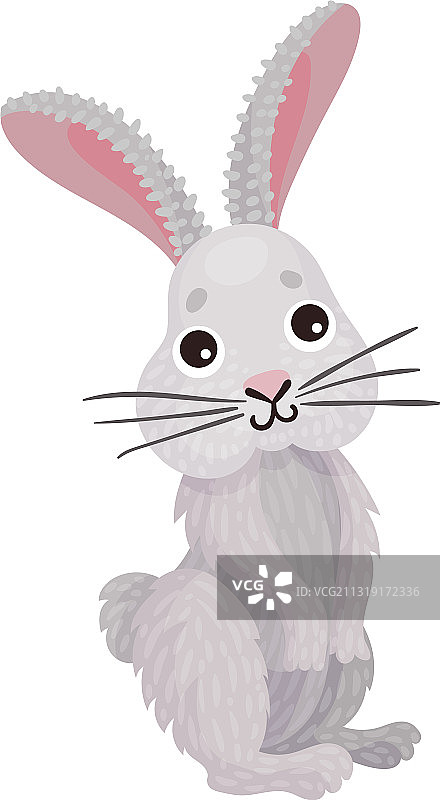 可爱的白色野兔长着长长的耳朵，像草食森林图片素材