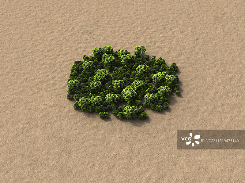 树在沙漠中形成一个圈图片素材