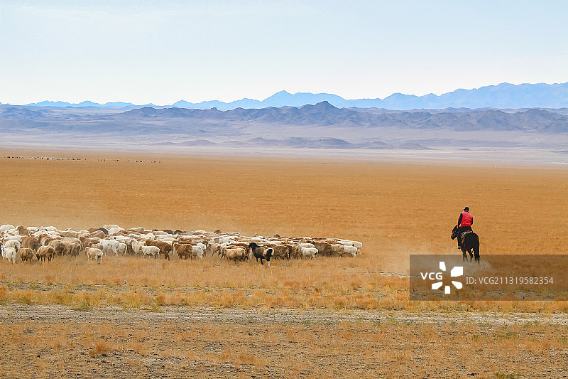 新疆草原可可托海牧羊人图片素材