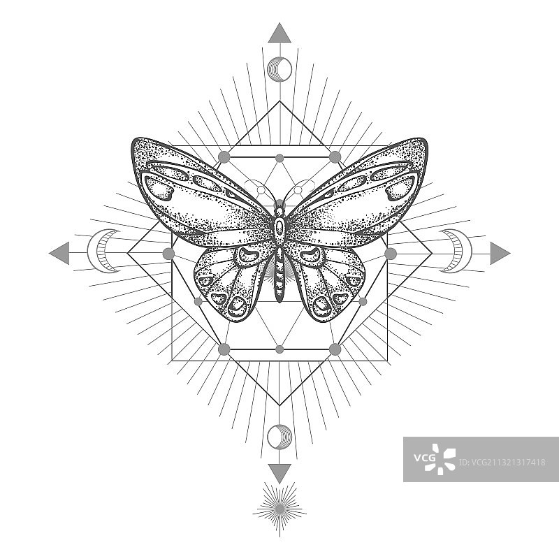 蝴蝶与几何符号图片素材