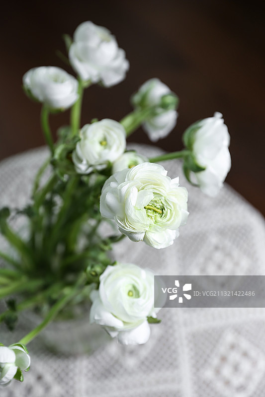 放在铺了白色蕾丝桌布桌子上的白色洋牡丹鲜花图片素材