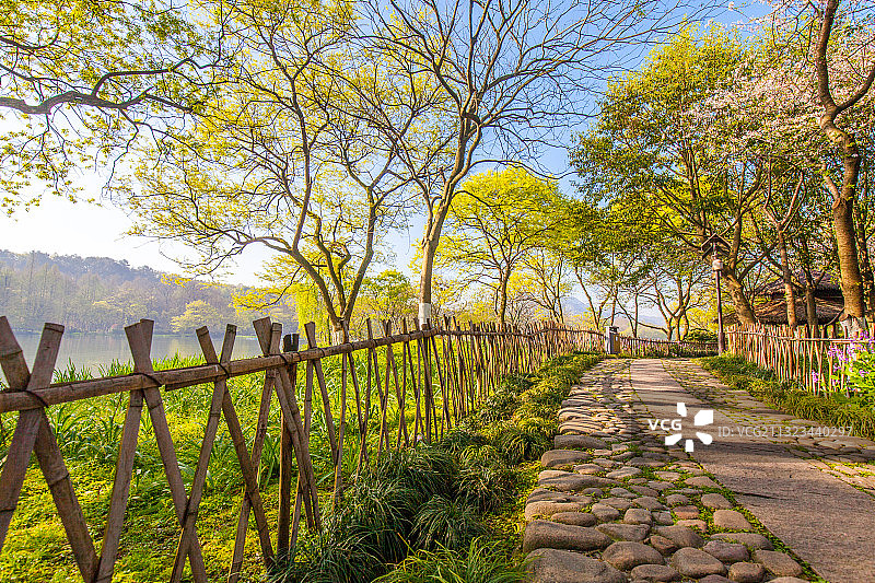 杭州西湖茅家埠景区的小路图片素材