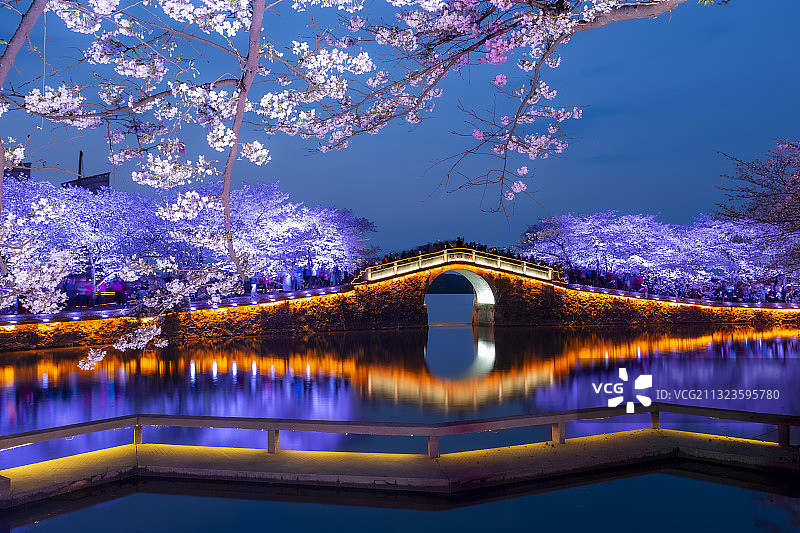 无锡鼋头渚长春桥樱花夜景图片素材
