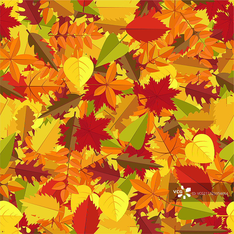 多彩的秋叶无缝图案图片素材