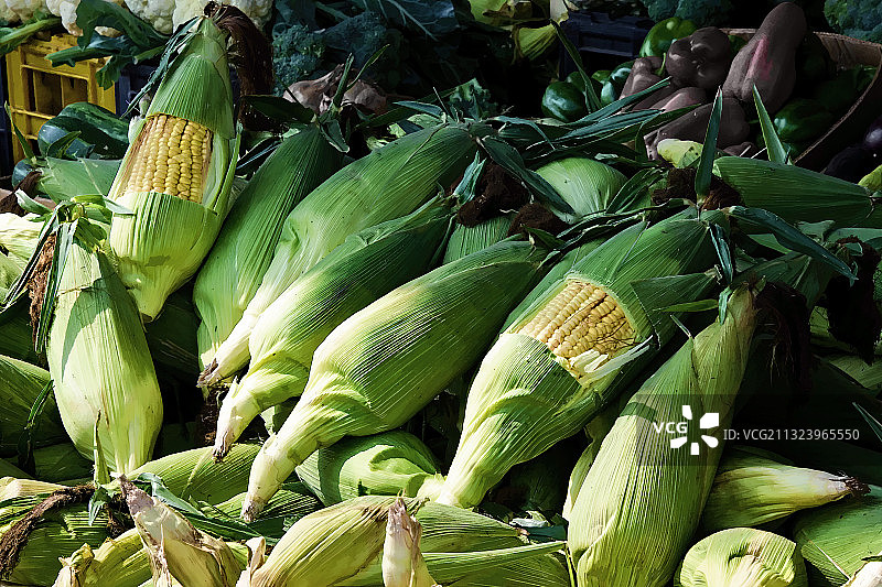高角度的玉米在市场摊位出售，圣地亚哥，圣地亚哥大都会地区，智利图片素材