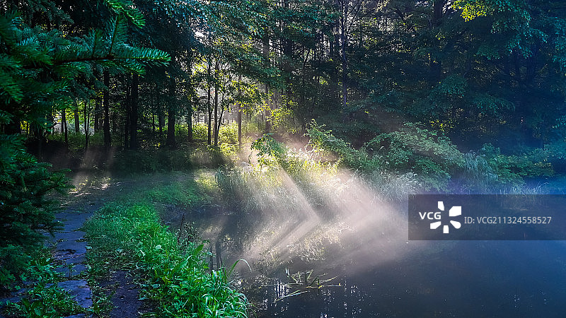 小兴安岭夏日清晨透过红松林的耶稣光普照在湖面上，折射成大于号图片素材