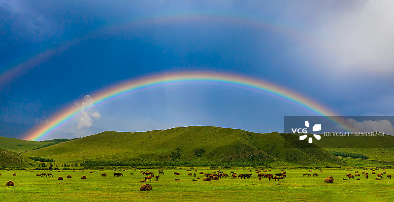 彩虹下的呼伦贝尔草原图片素材