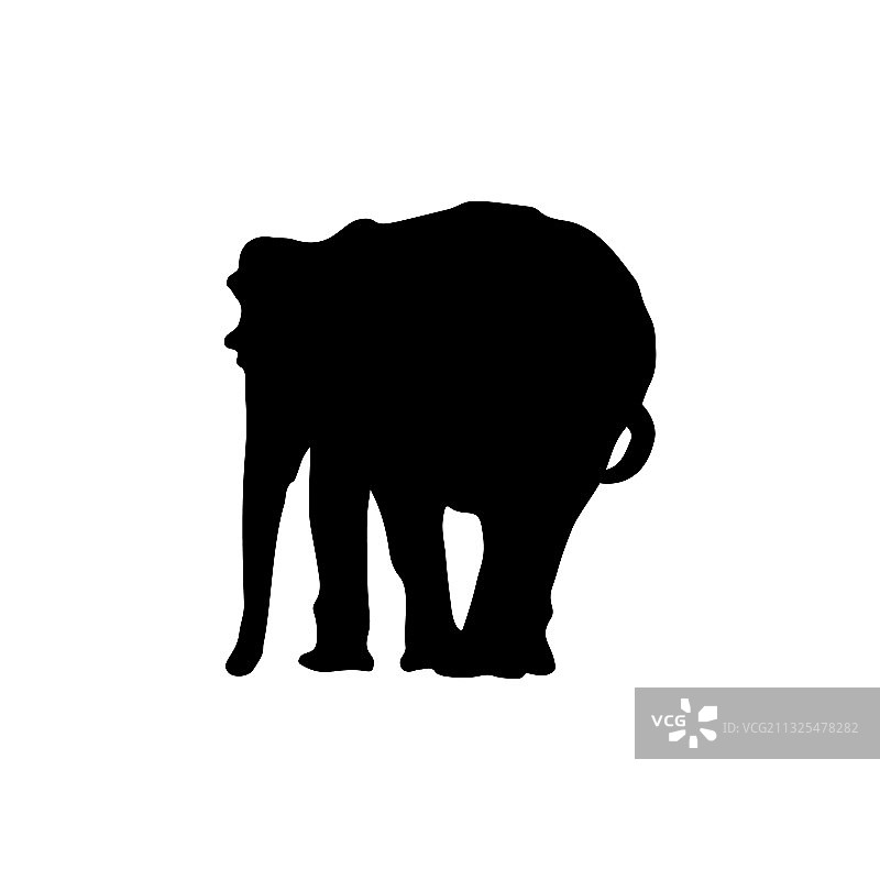大象的轮廓是白色上的黑色图片素材