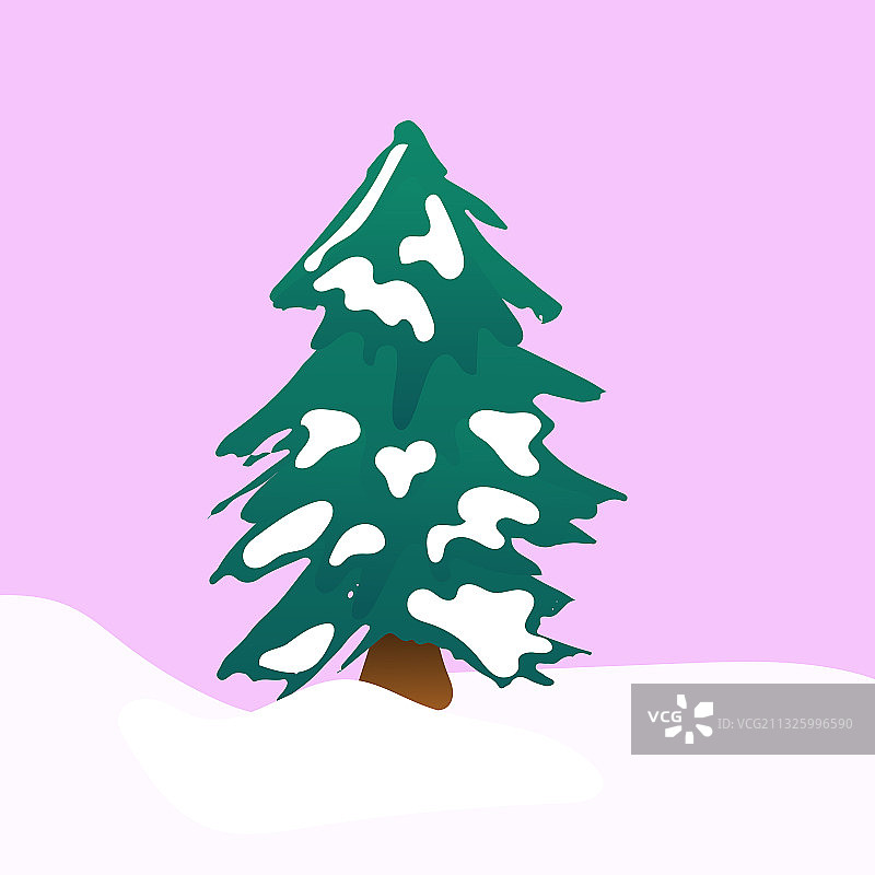 白雪覆盖的冷杉树冬天的圣诞树图片素材