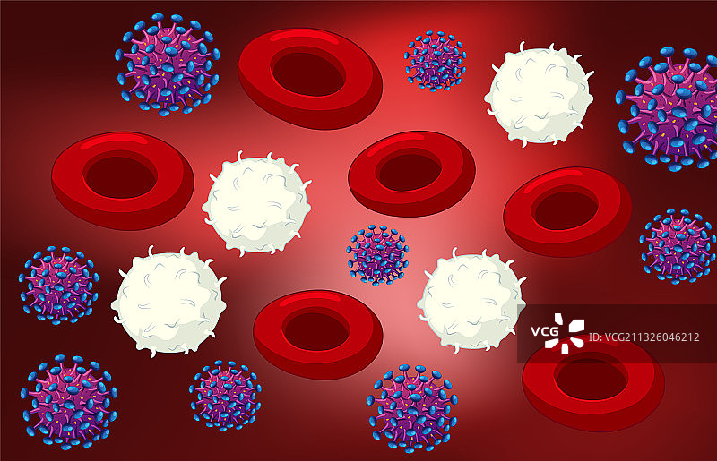 红细胞、白细胞和冠状病毒图片素材