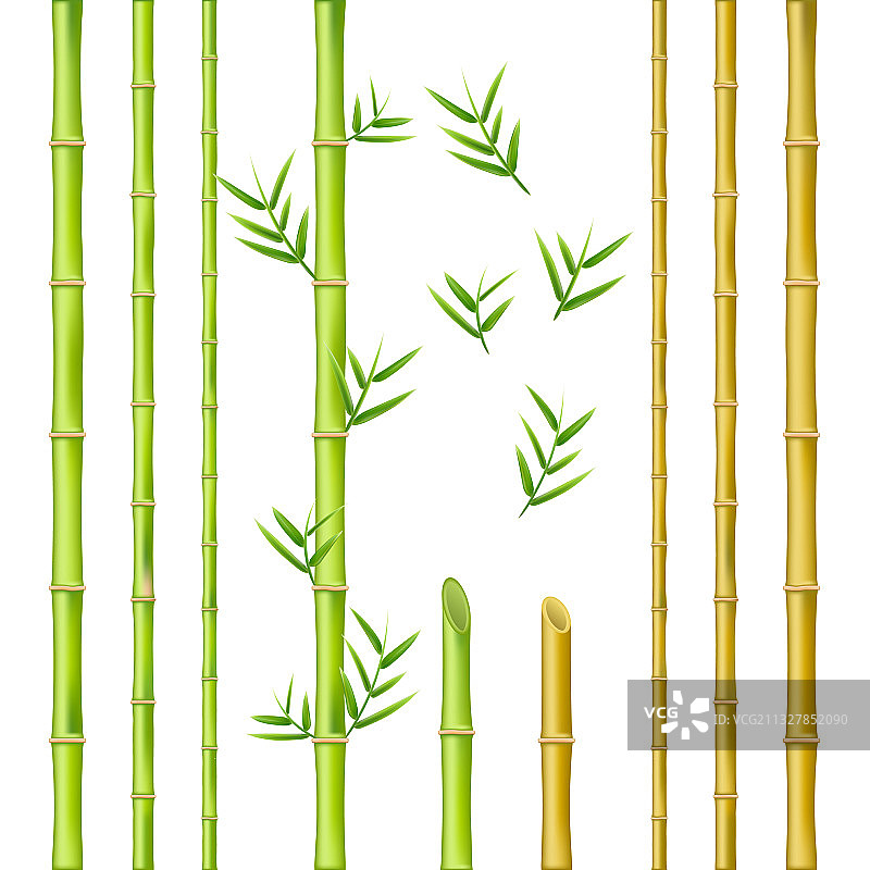 竹竿设计自然绿色东方图片素材