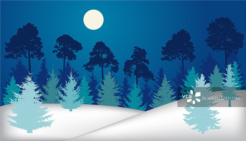 夜间森林冷杉树木松树冬季景观图片素材