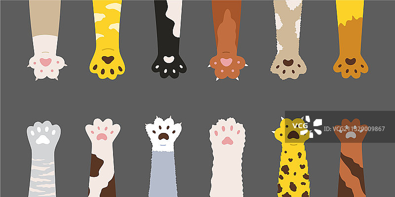 毛茸茸的彩色猫爪集图片素材