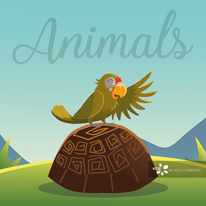 卡通动物鹦鹉在草地上乌龟图片素材