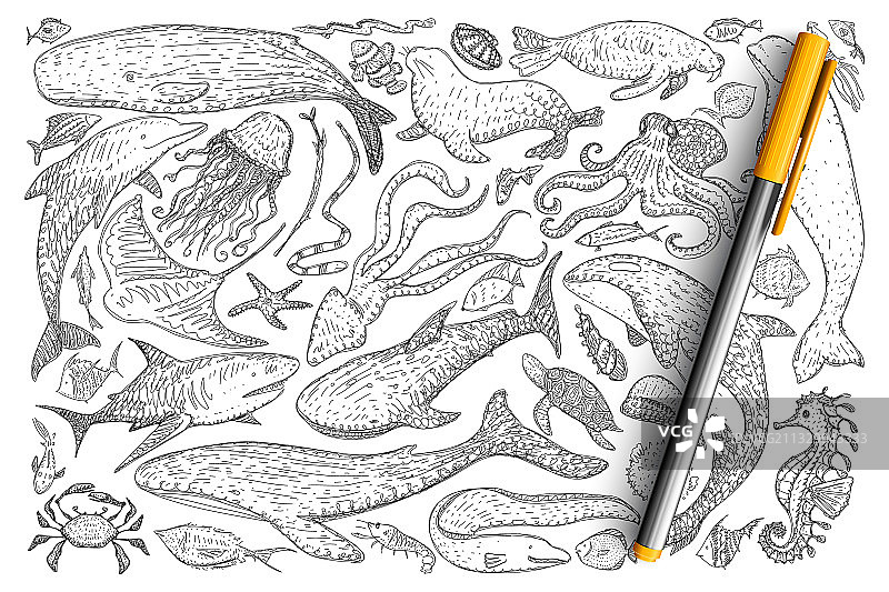 水下世界动物涂鸦集图片素材