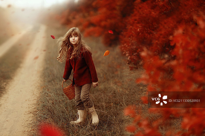 秋天的乌克兰，女孩在地上玩耍图片素材
