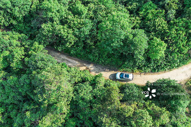 夏天森林山路中行驶的汽车航拍图片素材