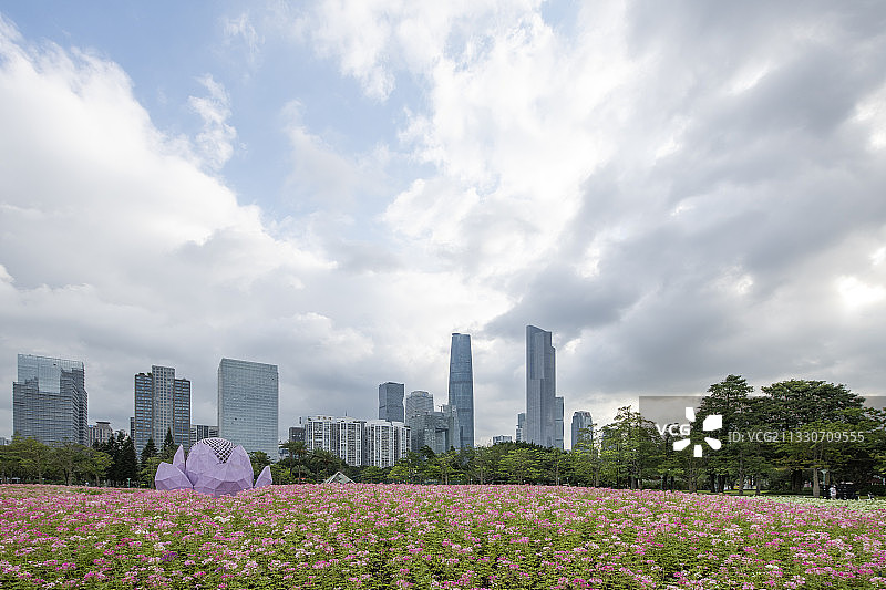 中国广州珠江新城天际线和公园盛开的鲜花图片素材