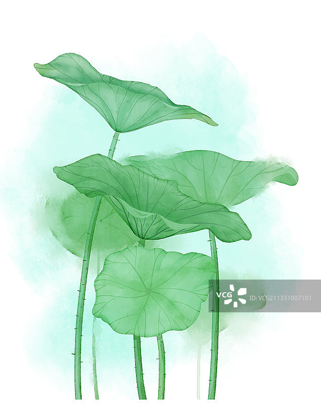 板绘仿水彩植物夏季古风荷叶素材元素插画图片素材