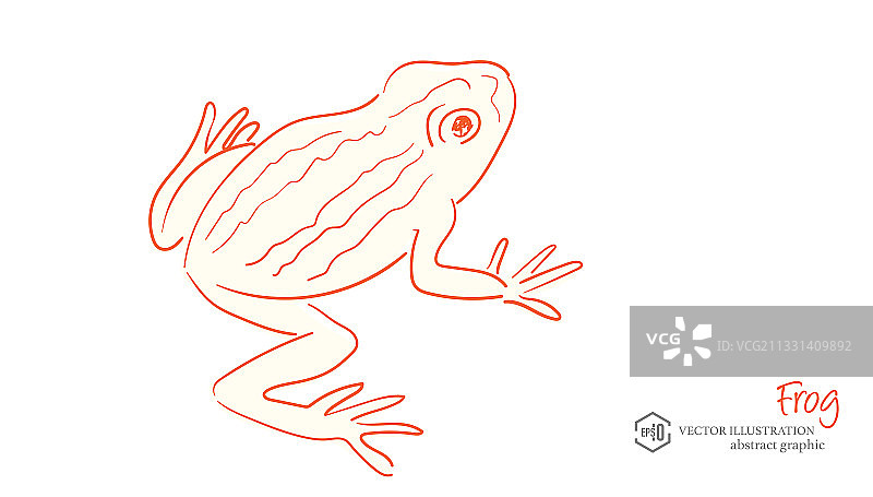 手绘青蛙轮廓儿童生物知识教材，抽象矢量野生动物卡通简笔画形象图片素材