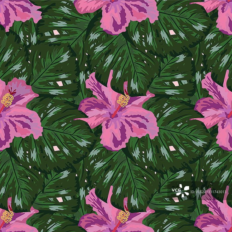 热带花和棕榈叶的背景图片素材