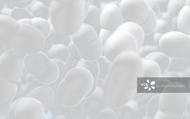 白色背景下的细菌 3D渲染图片素材