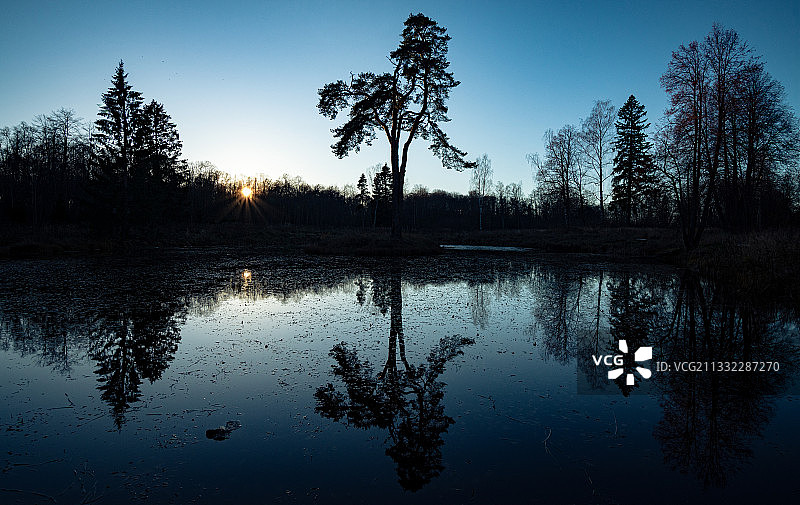 日落时湖面上树木的剪影图片素材