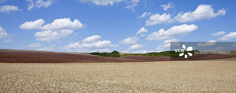 法国洛林夏季农业景观图片素材