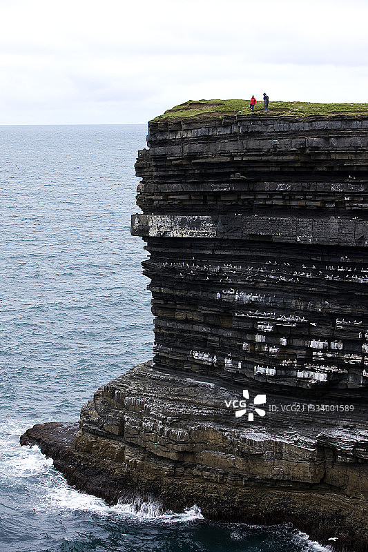 黑腿基蒂威克在爱尔兰的悬崖上图片素材