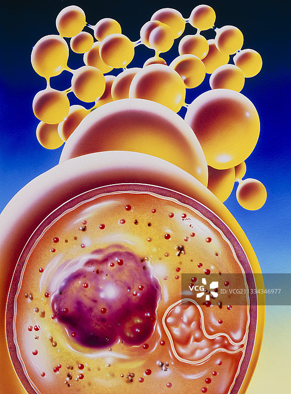 葡萄球菌菌落的艺术图片素材
