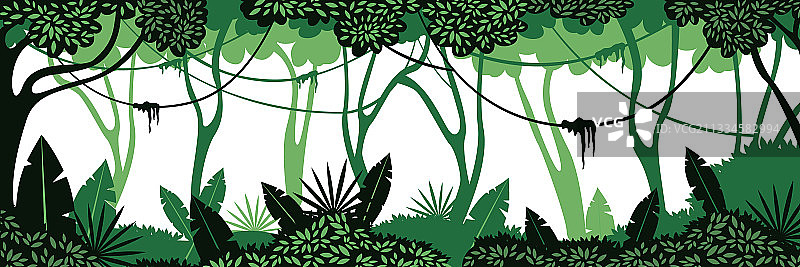 深丛林背景绿色编织藤蔓图片素材