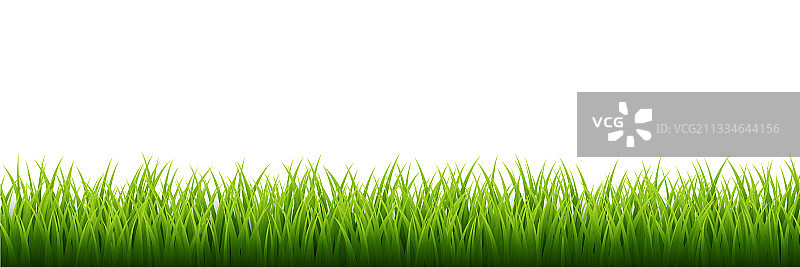 绿草边框设置在白色背景上图片素材
