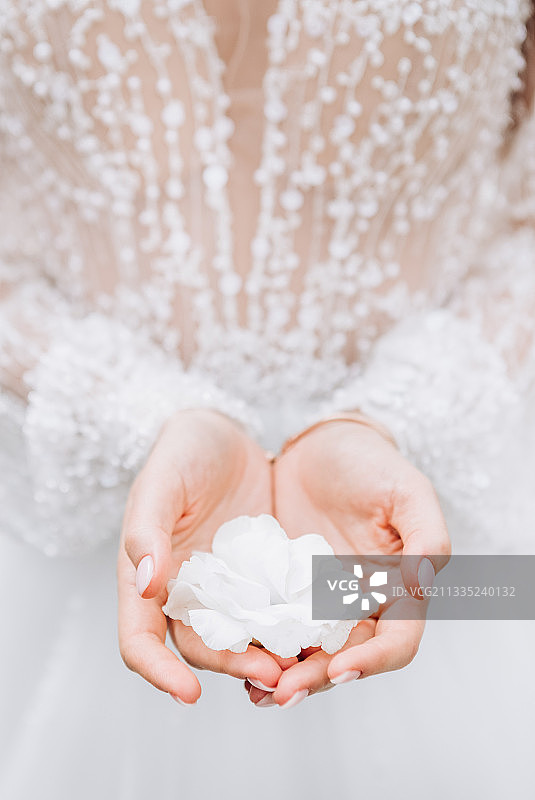 手持白色花瓣的新娘腹部，德国图片素材