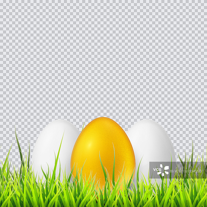 白色和金色的蛋在草地上逼真图片素材