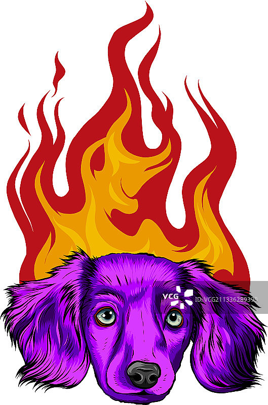 小狗狗与火焰装饰图片素材